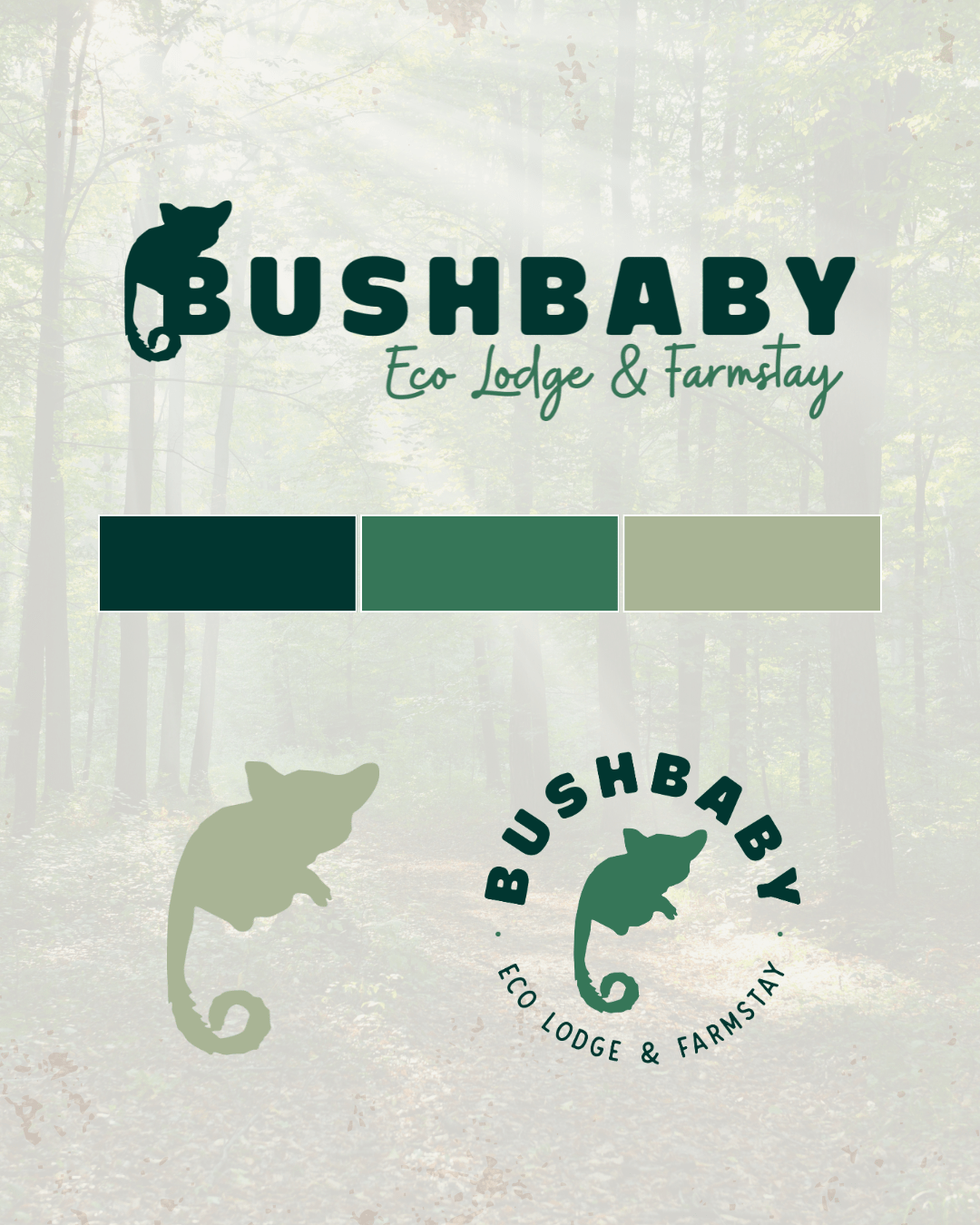 Bushbaby Lodge Logo